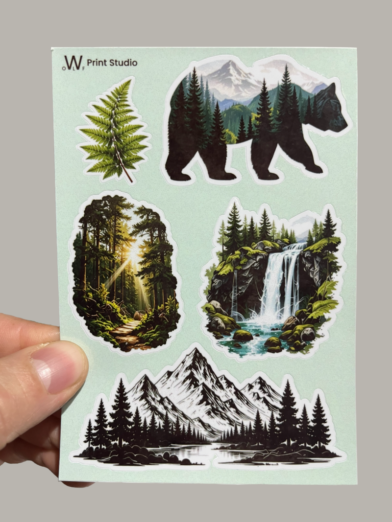 Plancha Bosque 01